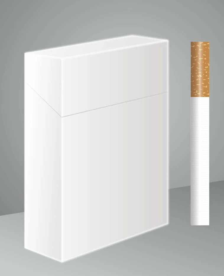 Blank King Size pack beside a single cigarette